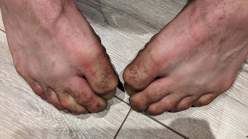 lespiresfeet OnlyFans profile picture
