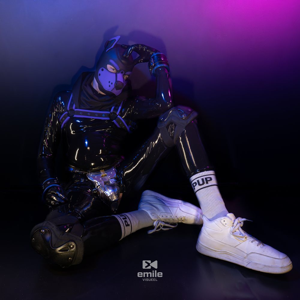 droolycorgi OnlyFans profile picture