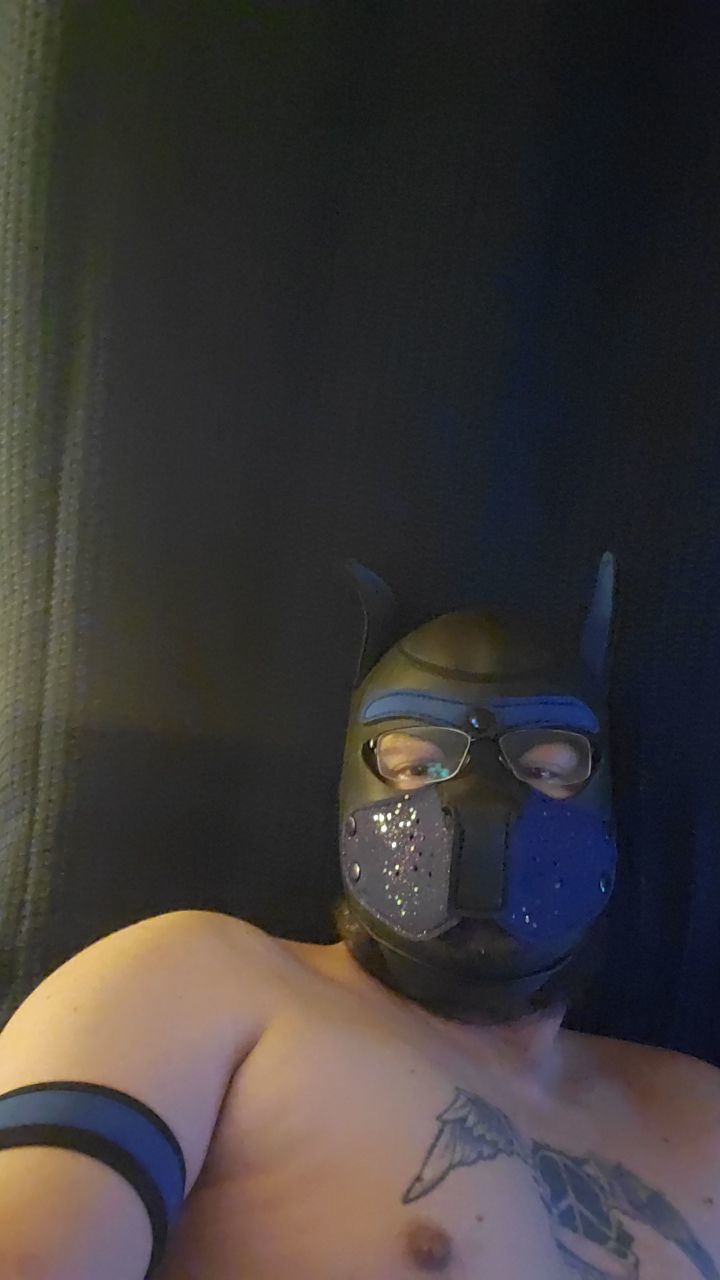 pup_augie OnlyFans profile picture