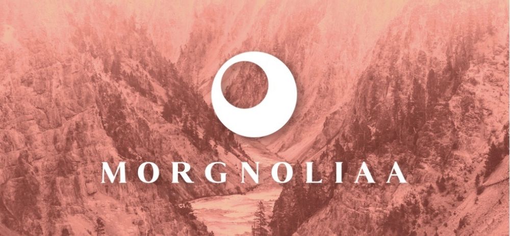 morgnoliaa OnlyFans profile picture