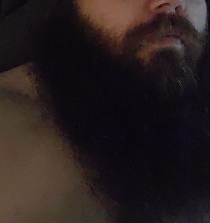 pogonophiliatreat OnlyFans picture