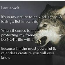daddywolf1876 OnlyFans profile picture