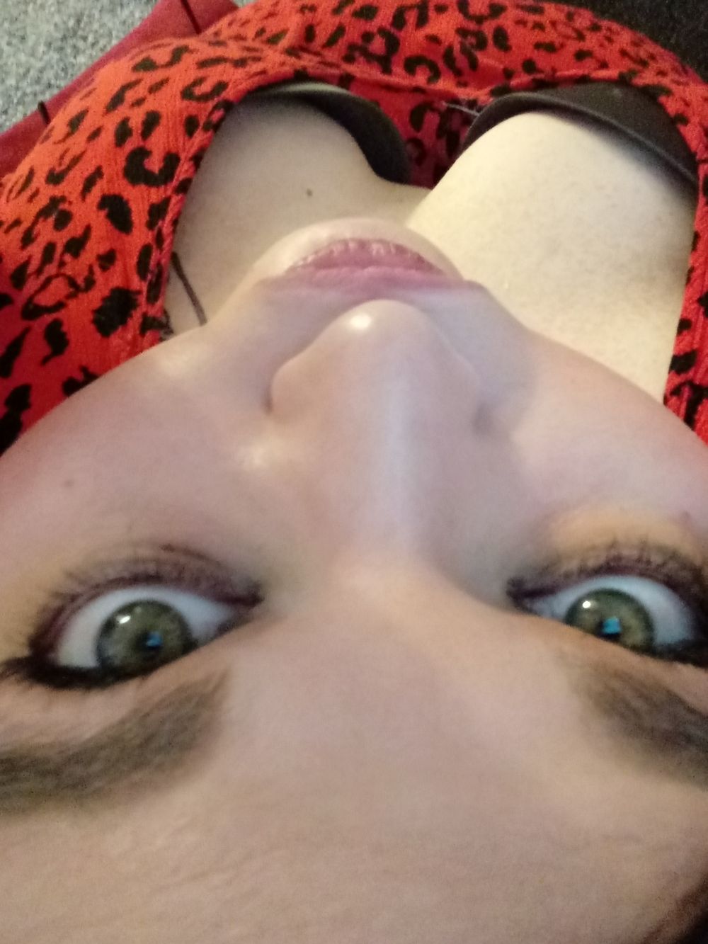honeybadger96 OnlyFans profile picture
