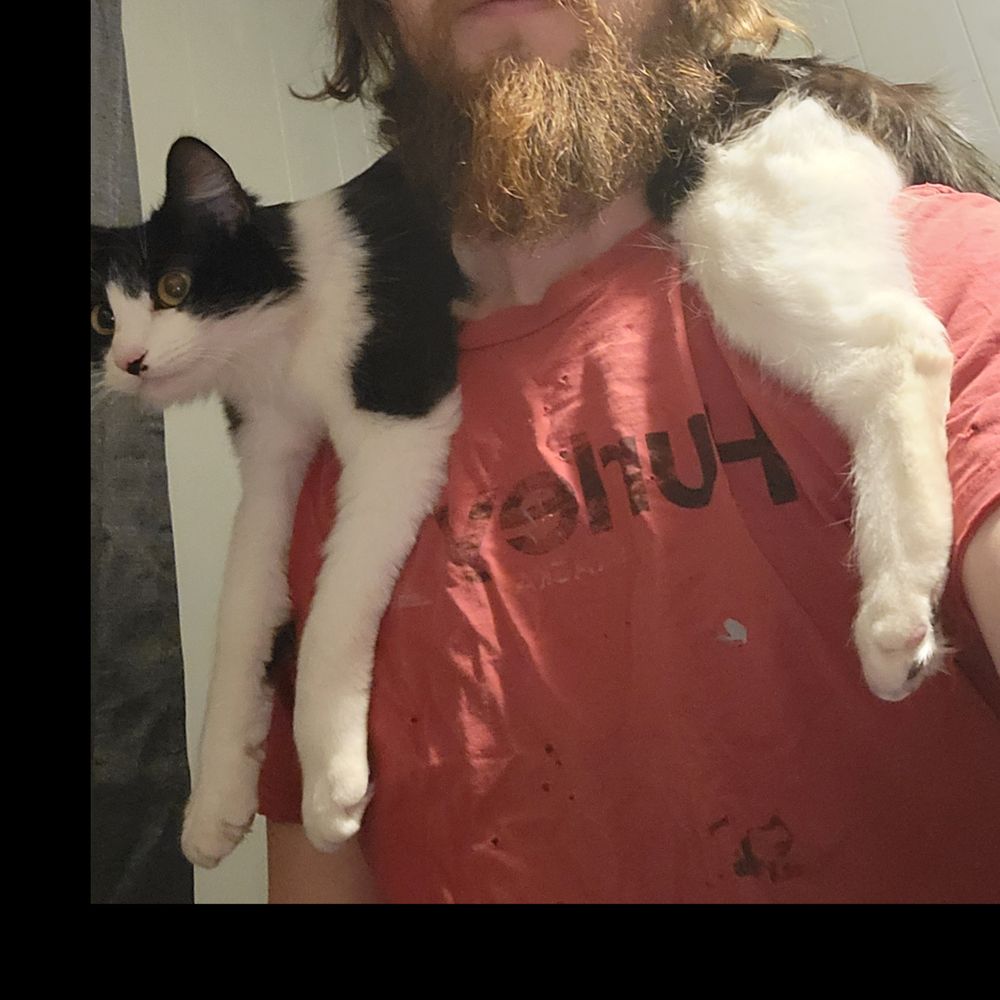 jamsout OnlyFans profile picture