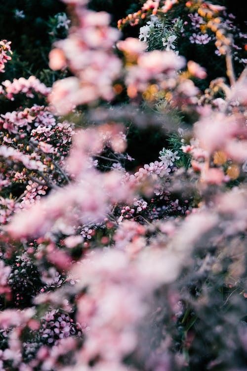 realmrsrenee OnlyFans profile picture