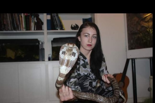 allwild OnlyFans profile picture