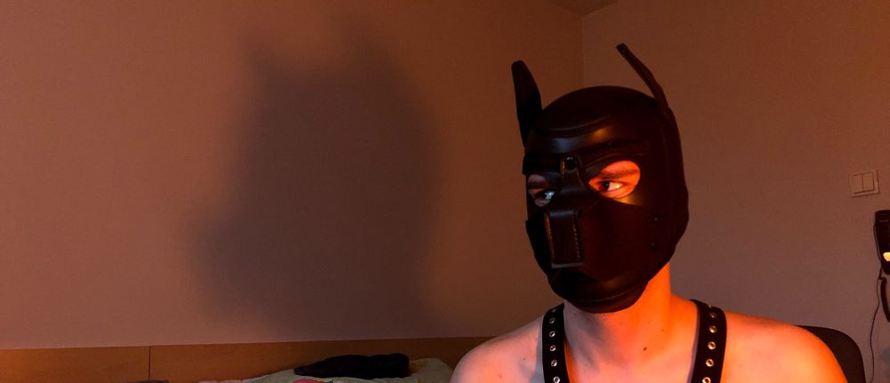 sdmxgmr OnlyFans profile picture