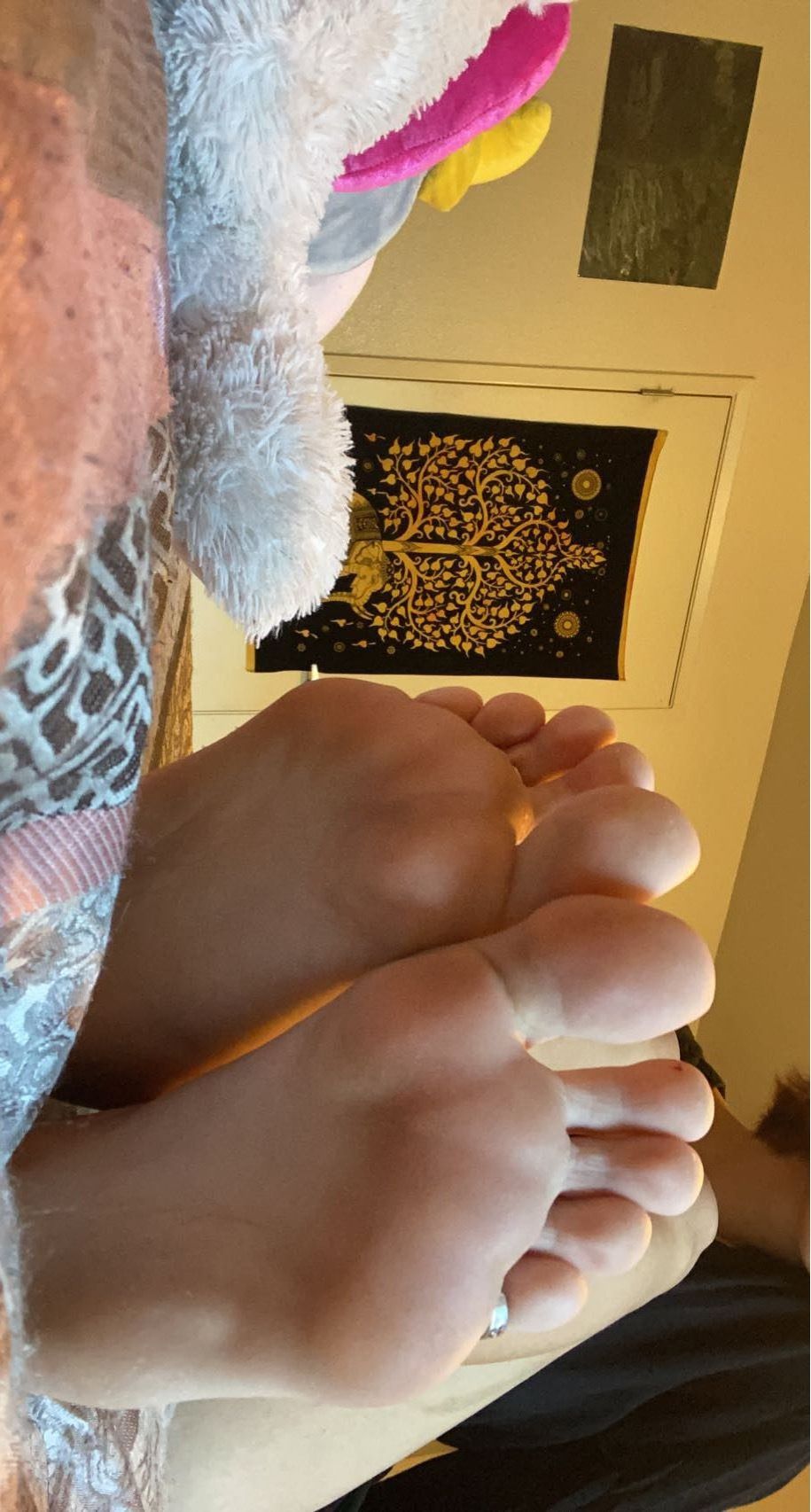 slu77y7eenfeet OnlyFans profile picture