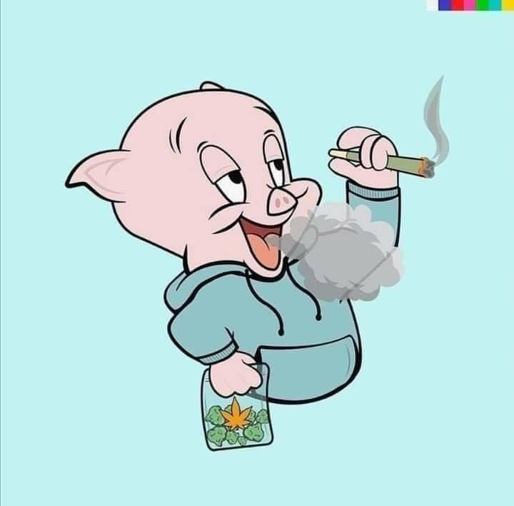 gstzd9 OnlyFans profile picture