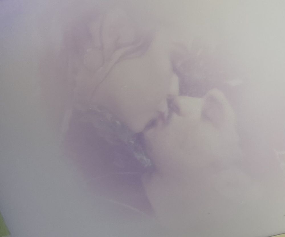 lefilms OnlyFans profile picture