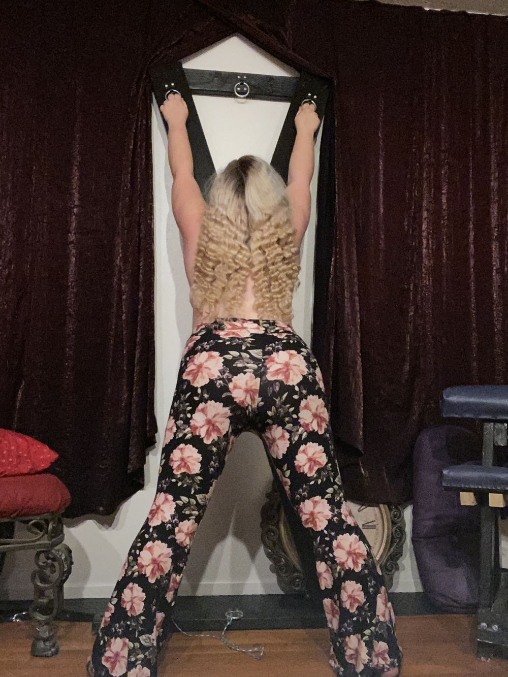 feralstar OnlyFans profile picture