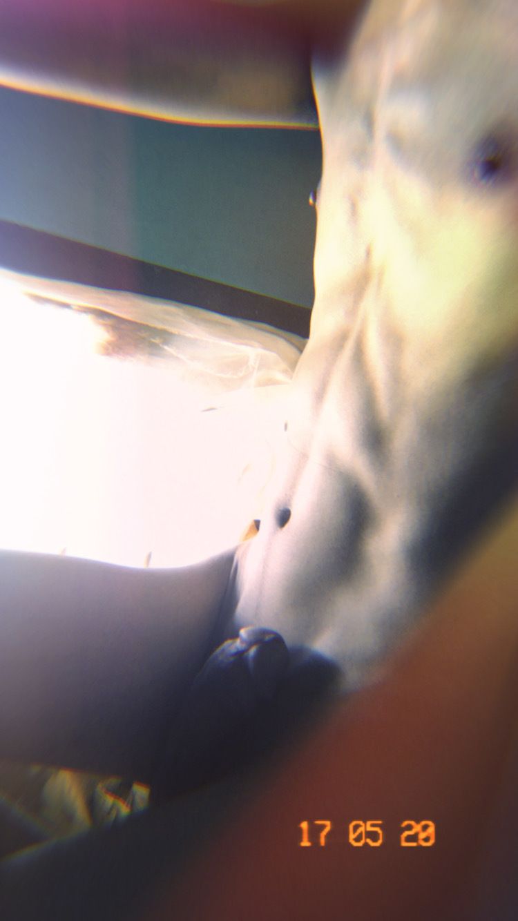 monoeuvre OnlyFans profile picture