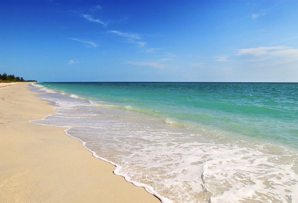 floridafeets OnlyFans profile picture