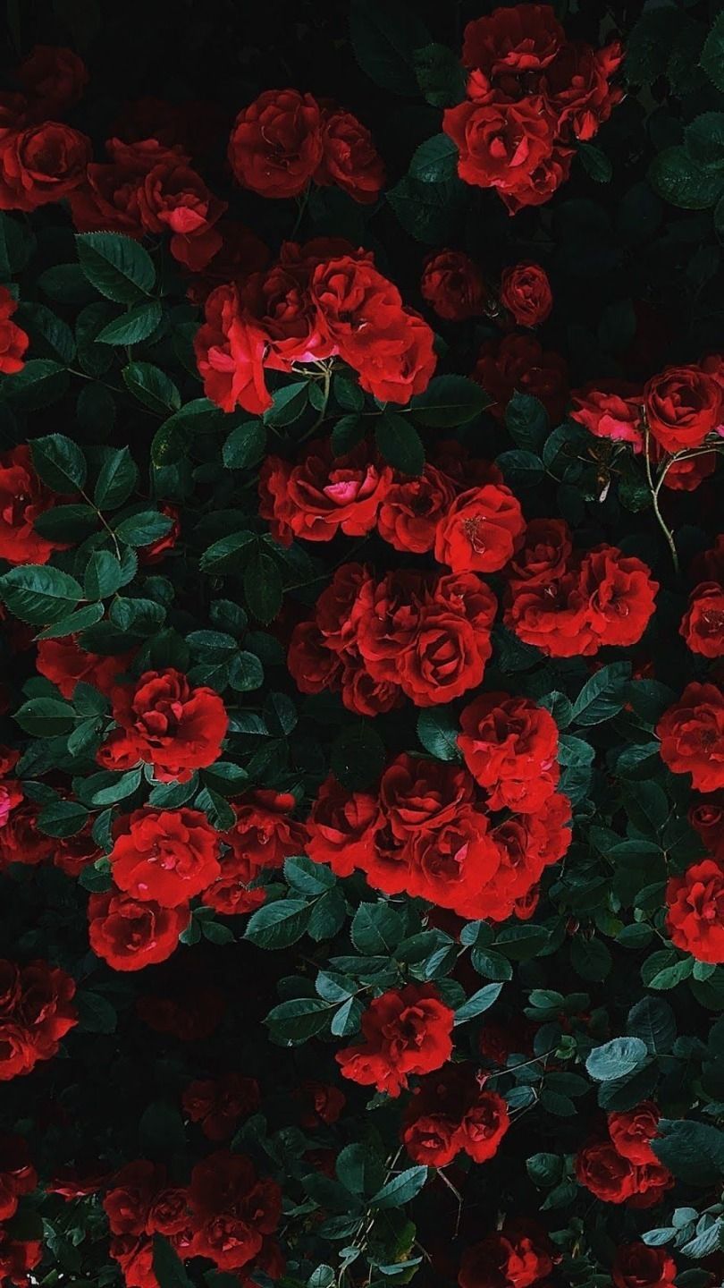 hey_flowerpower OnlyFans profile picture
