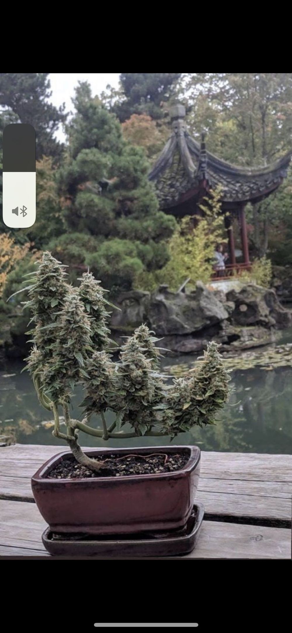 whiteboi420 OnlyFans profile picture