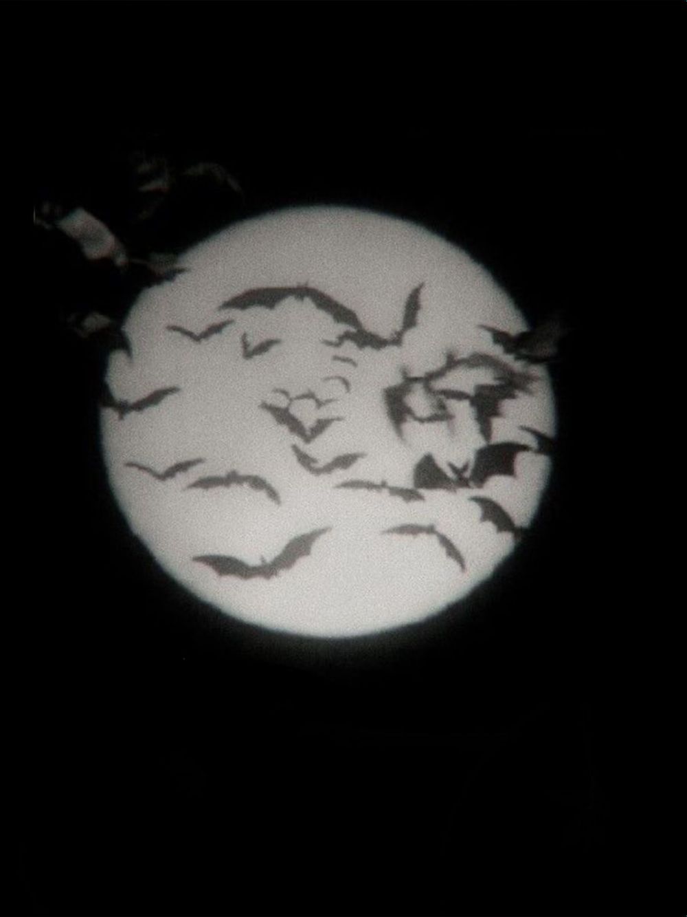 milkydoujin OnlyFans - Stats, Graphs, Photos & Profile Comparisons