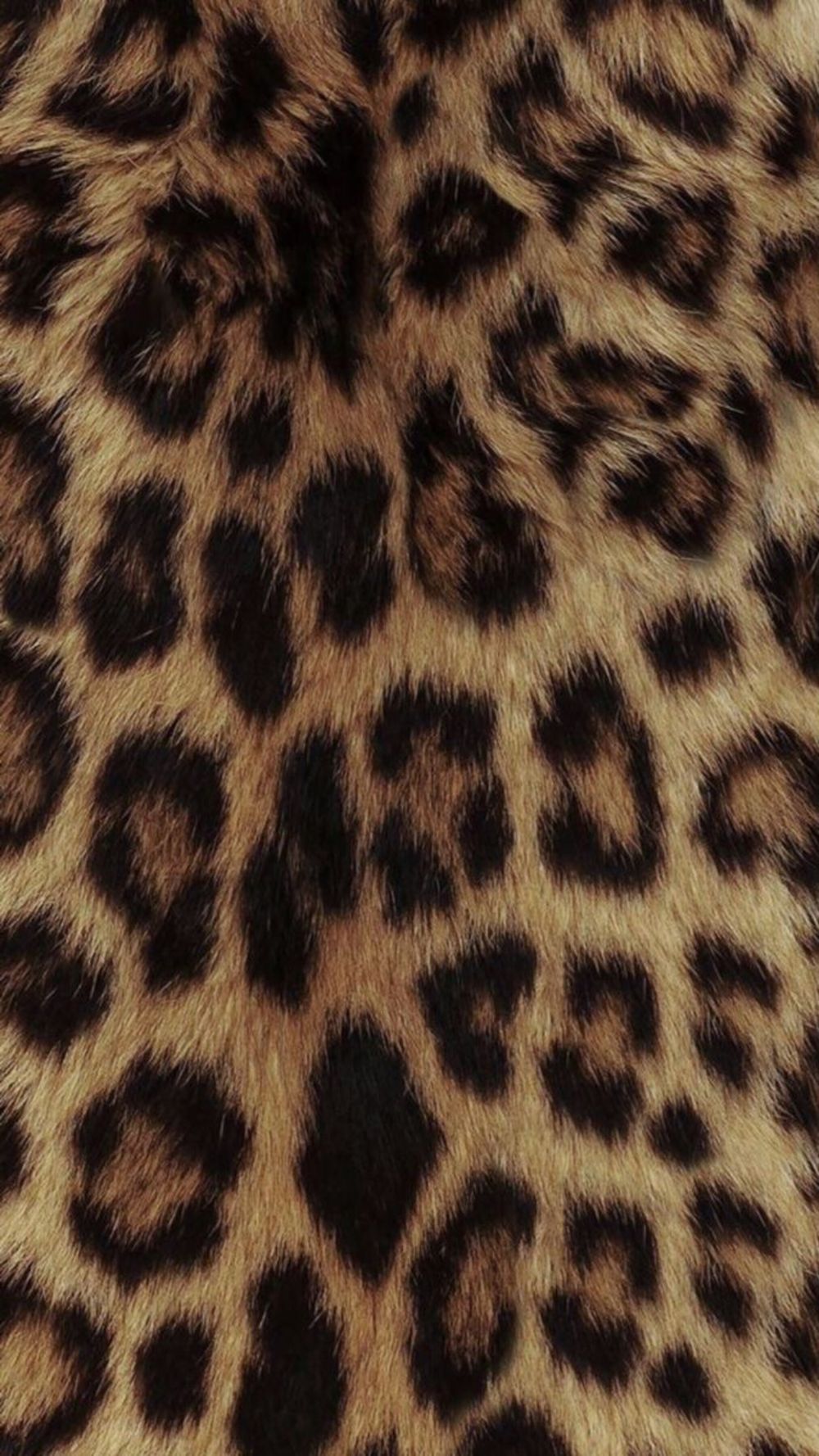kuntkittie OnlyFans profile picture
