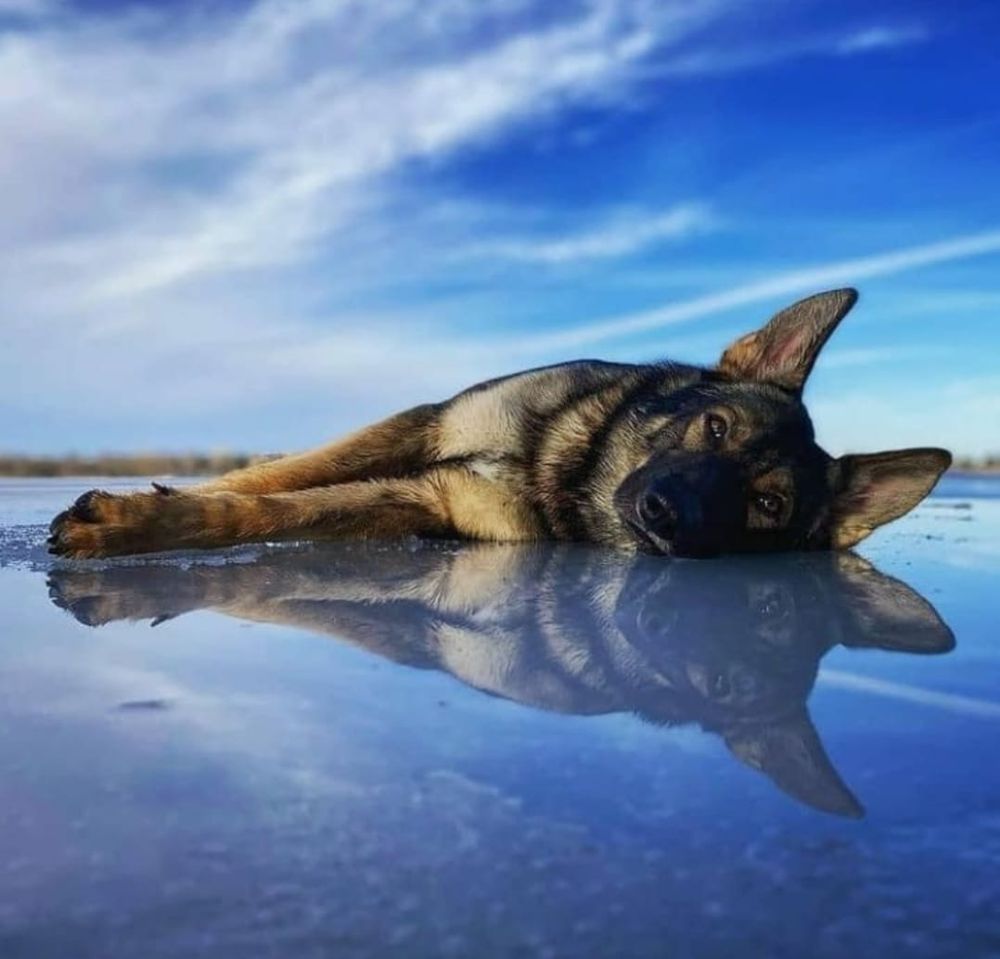 acadia_love OnlyFans profile picture