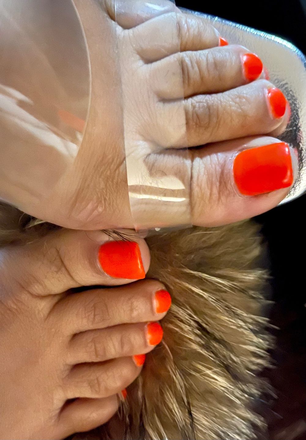 imnotyourmftoy OnlyFans profile picture
