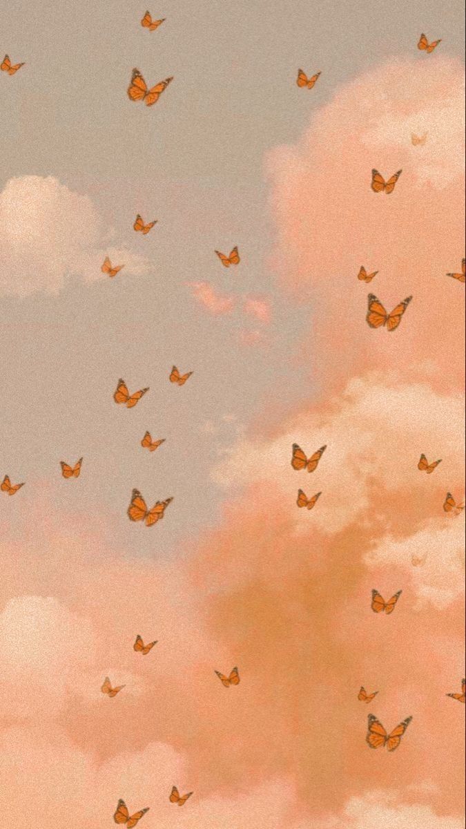 butterflyprincess555 OnlyFans profile picture