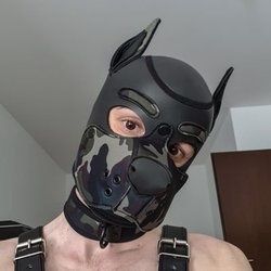 pup_vega OnlyFans picture