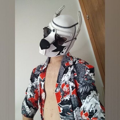 cometpuppy OnlyFans picture