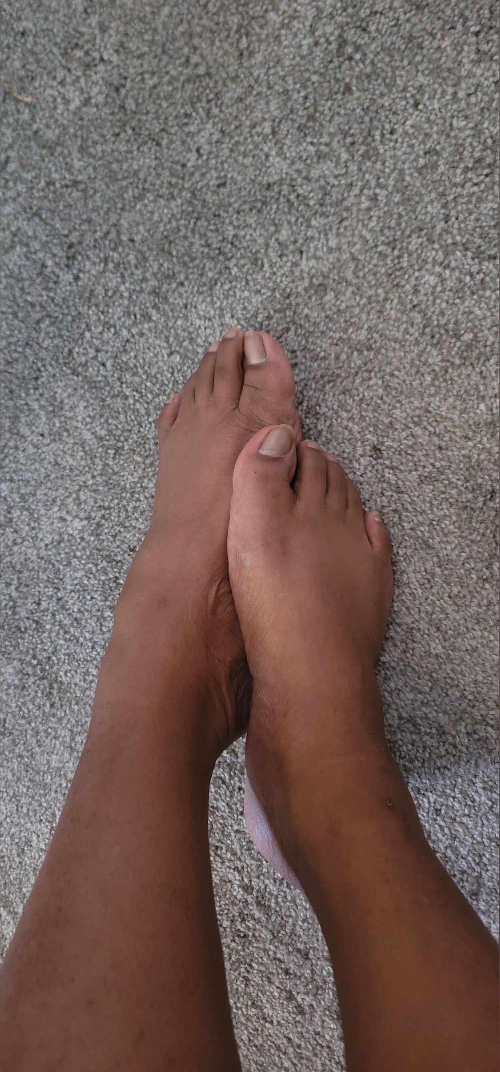 babytigerpaws OnlyFans profile picture