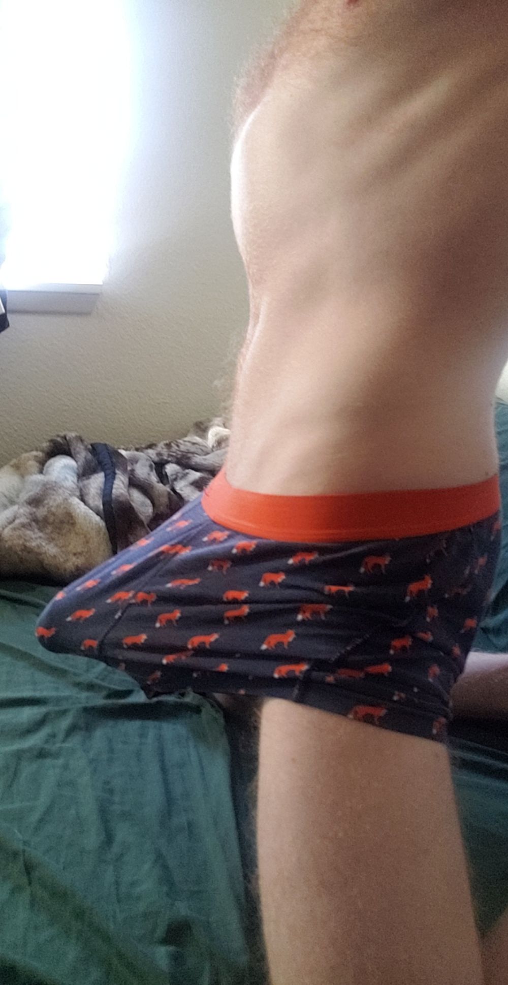 schmuffinpoles OnlyFans profile picture