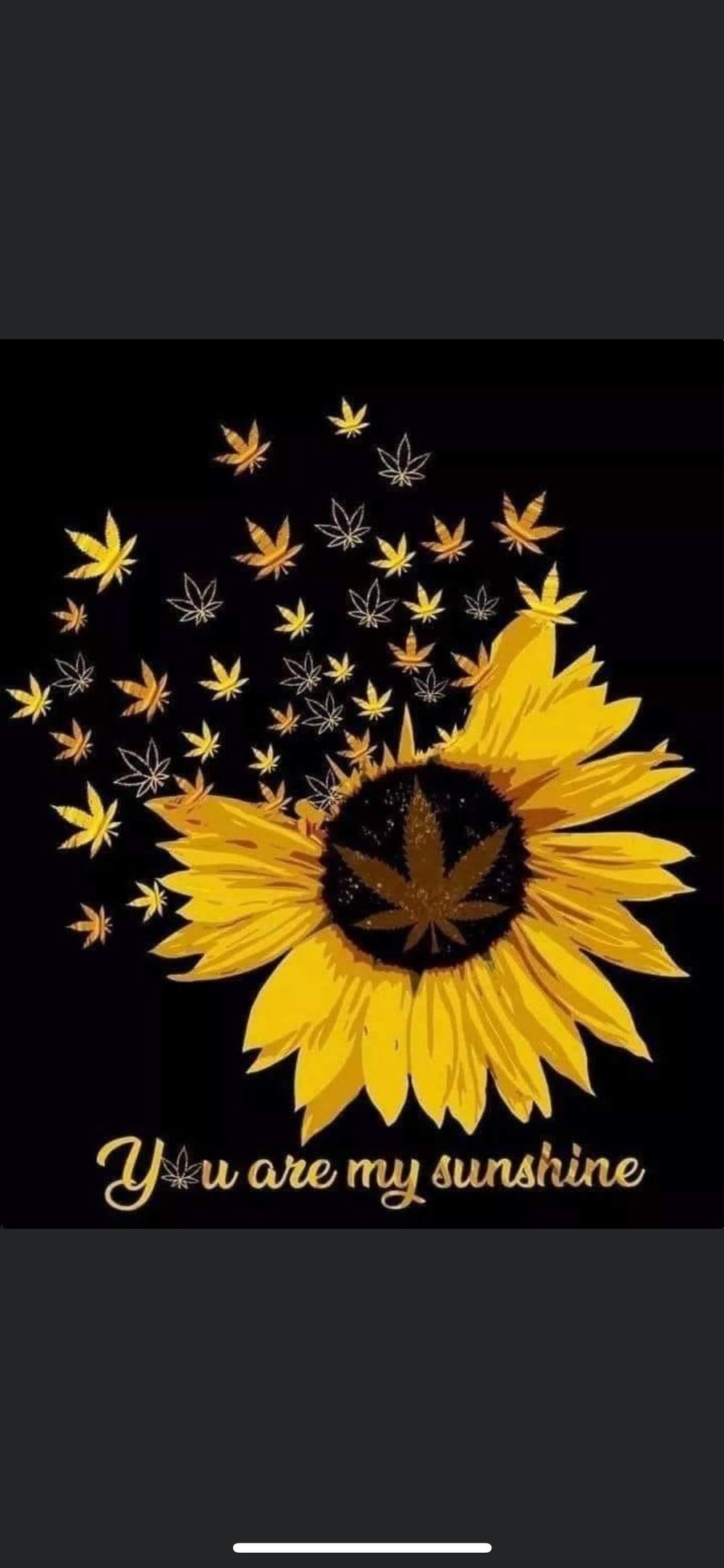weednvibes OnlyFans profile picture