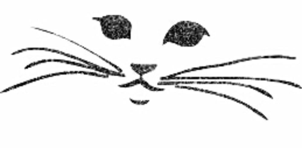 somebodymew OnlyFans profile picture