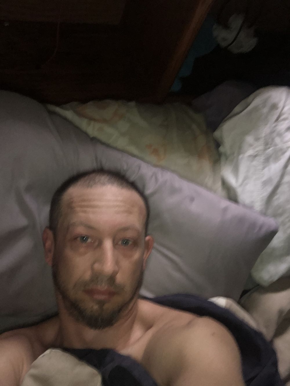 travulis OnlyFans profile picture