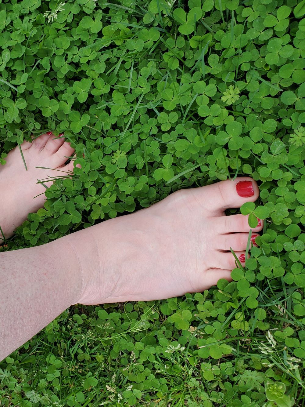 countrygirlnc OnlyFans profile picture