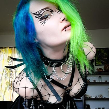 siipirikko OnlyFans picture