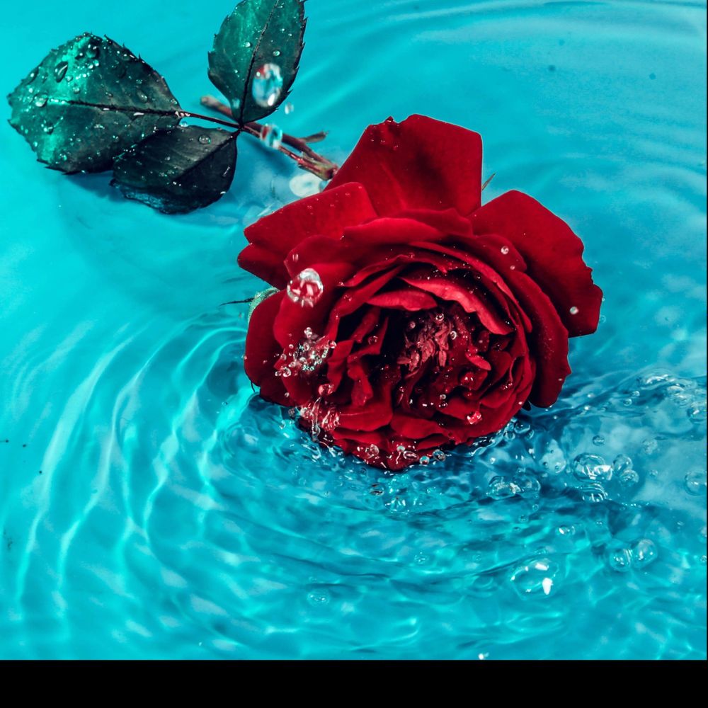 gaiaxrose OnlyFans profile picture