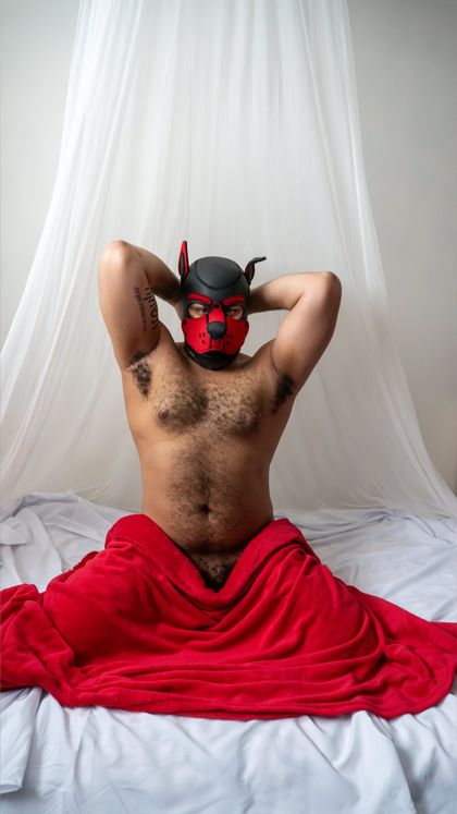 beowolfpup OnlyFans picture