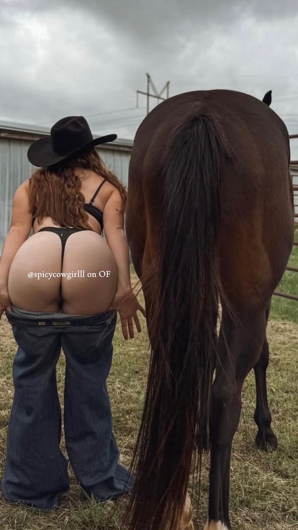 spicycowgirlll OnlyFans profile picture