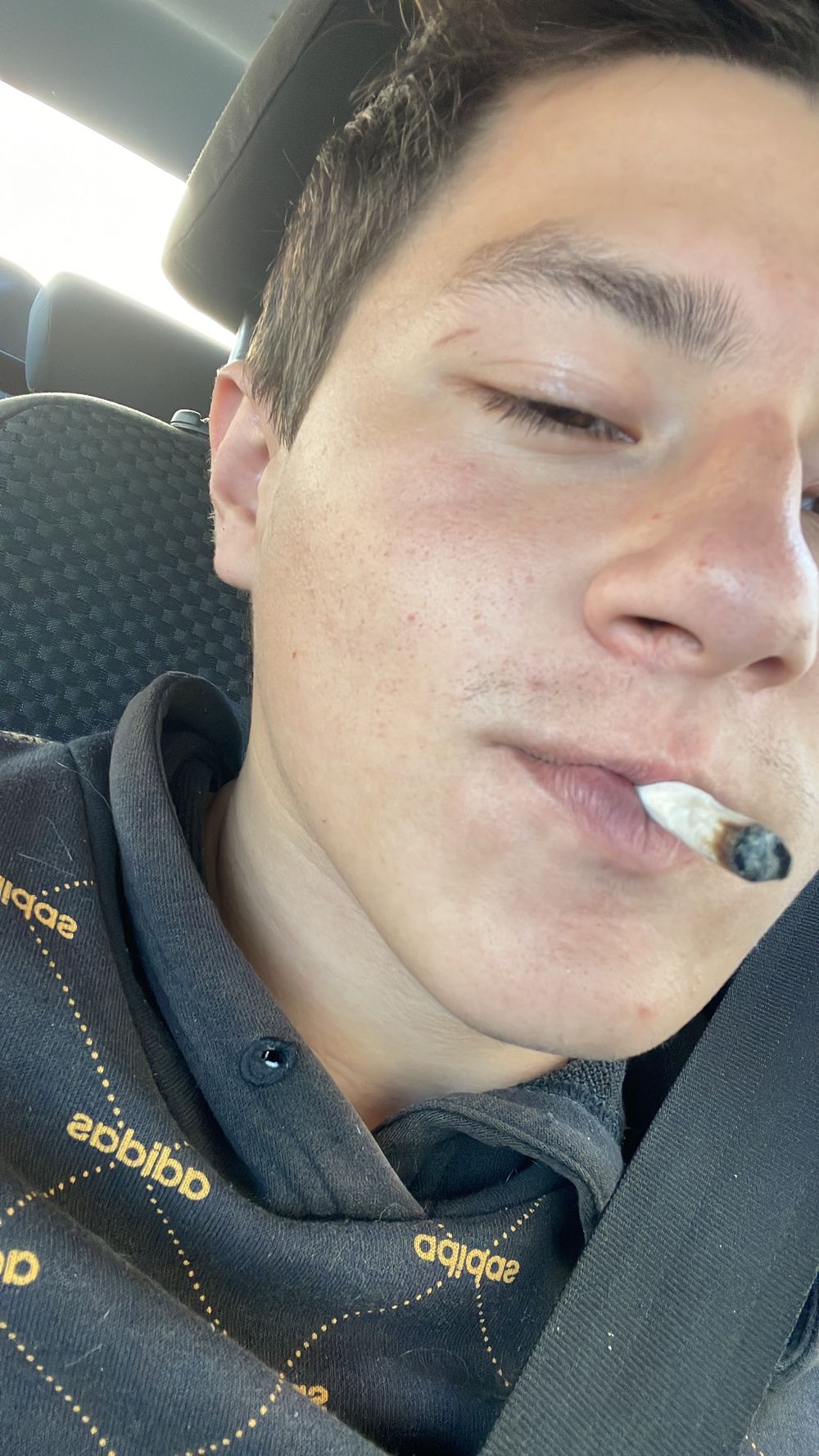 speimbertv OnlyFans profile picture