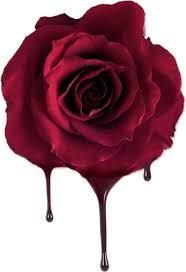 tinkerbell_in_phoenix OnlyFans - Stats, Graphs, Photos & Profile