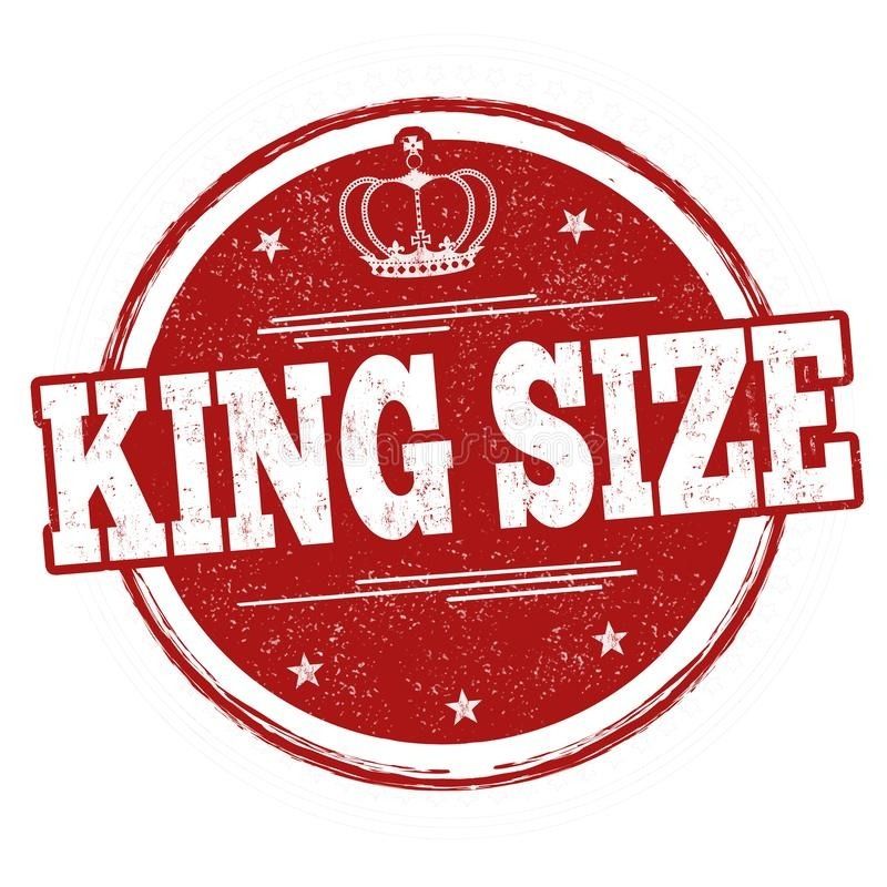 king_sizexxx OnlyFans profile picture