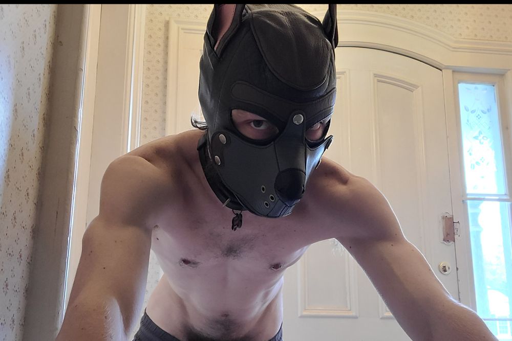 rocketsmutts OnlyFans profile picture