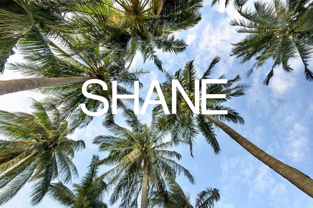 iamshanee OnlyFans profile picture