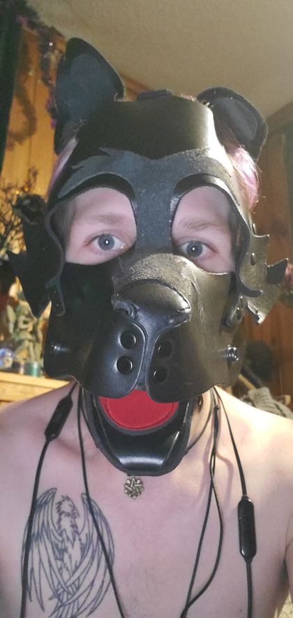 zane-pup89 OnlyFans picture