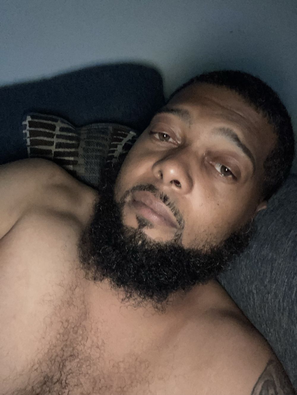 thenakedchef313 OnlyFans profile picture