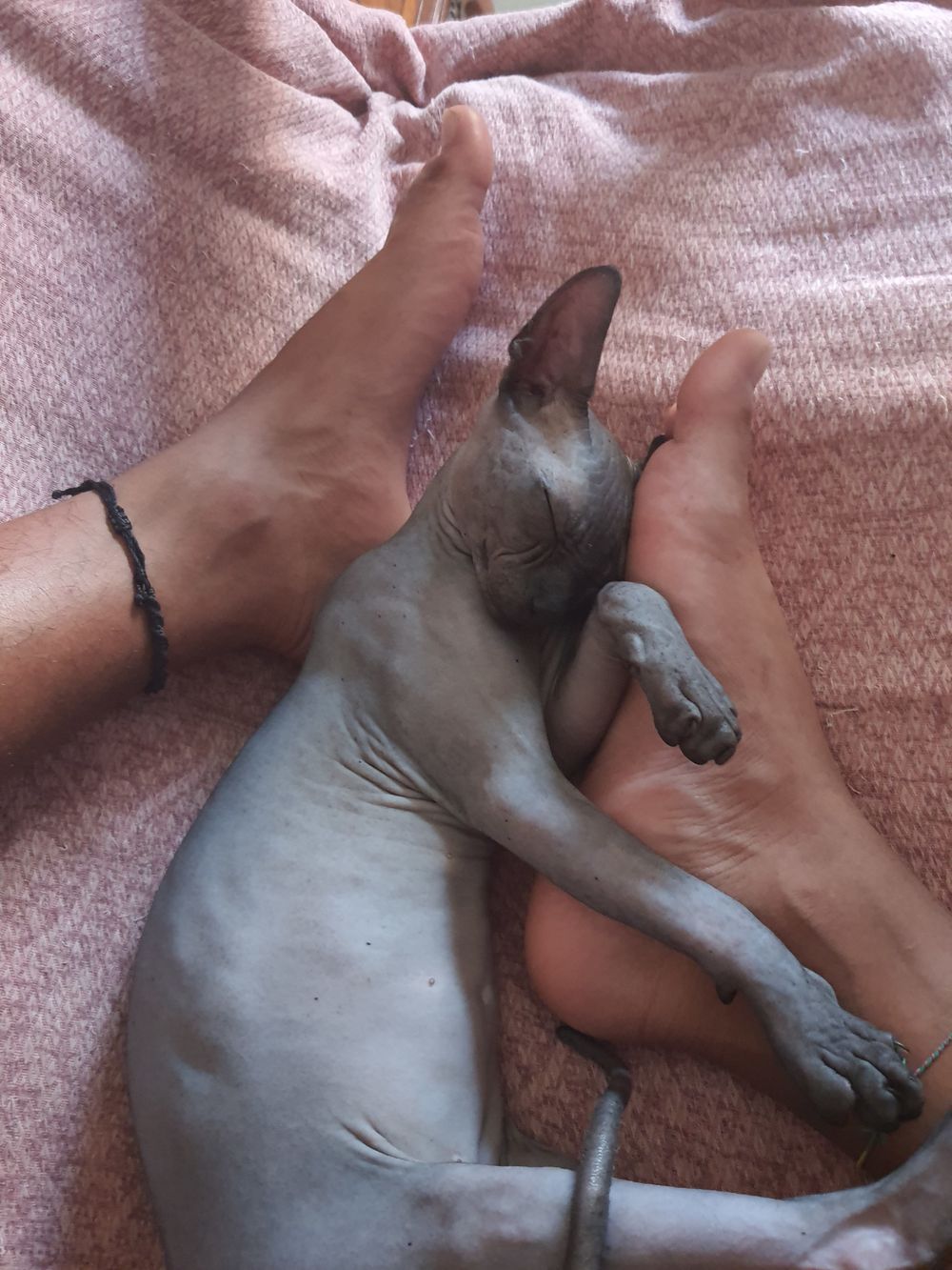 tofeetlovers OnlyFans profile picture