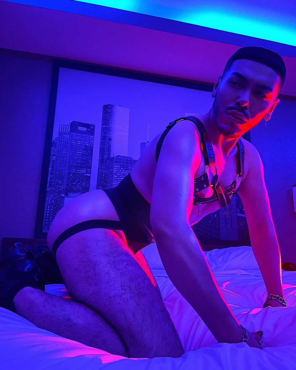 augustwilde OnlyFans profile picture