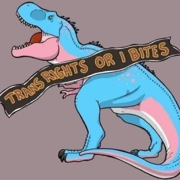 casebelles OnlyFans profile picture