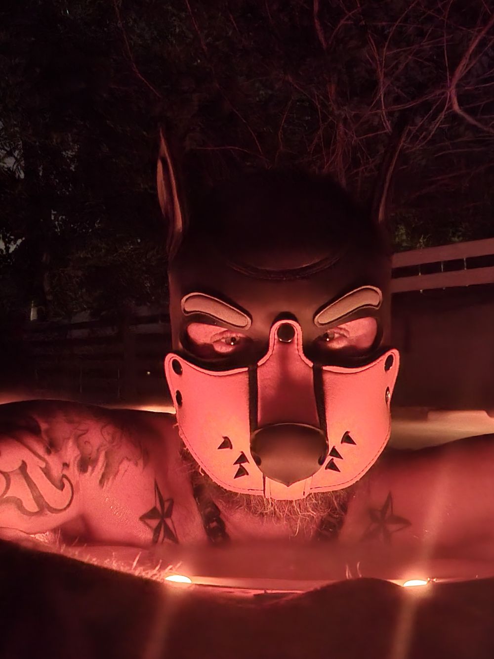 cmhnstyp1g OnlyFans profile picture
