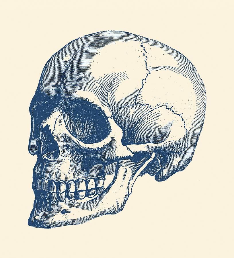 donnerpartyof3 OnlyFans profile picture