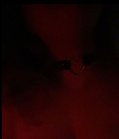 lilkitten_21 OnlyFans picture
