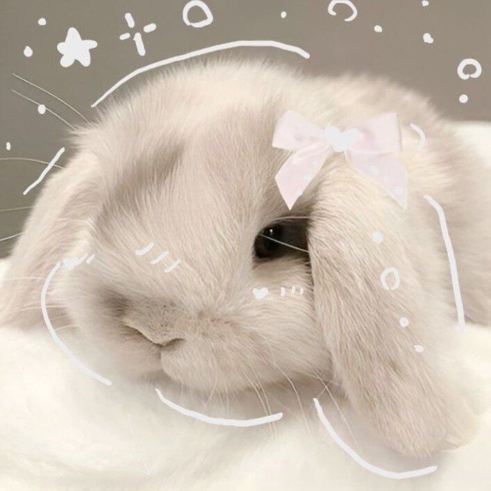 snowbunnieebaby OnlyFans profile picture